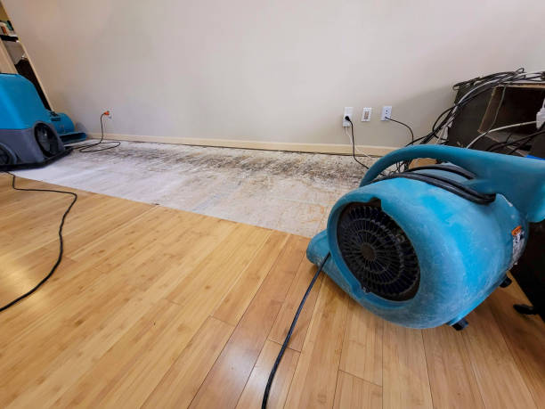 Professional Water Damage Repair technician working in Summit, MS